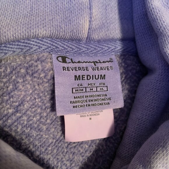 Champion Faded Heavyweight Reverse Weave Purple Hoodie - Picture 4 of 5